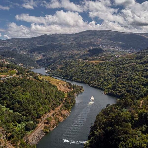 Serpenteando entre Colinas